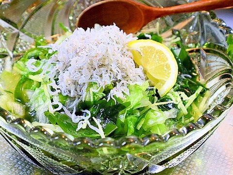 おひたしサラダ*レタスと若芽としらす